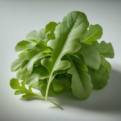Arugula - Nemesis - Baby - Pound (Pound)