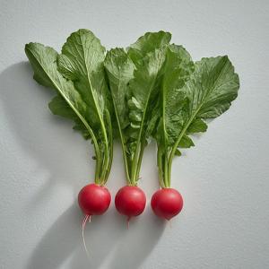 Radishes - Purple Heart - Mature - Pound (Pound)