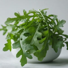 Arugula - Esmee - Baby - Pound (Pound)