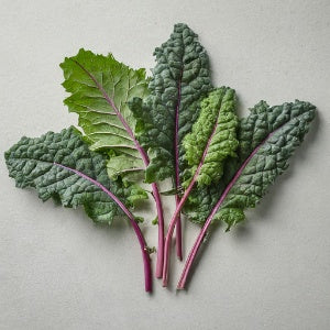 Kale - Kalebration Mix - Baby - Pound (Pound)