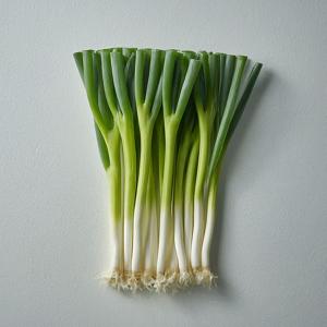 Scallions - Yago - Greens - Pounds (Pounds)