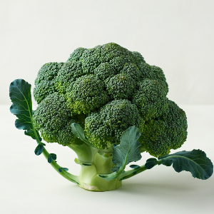 Broccoli - Gypsy - Heads - Pound (Pound)